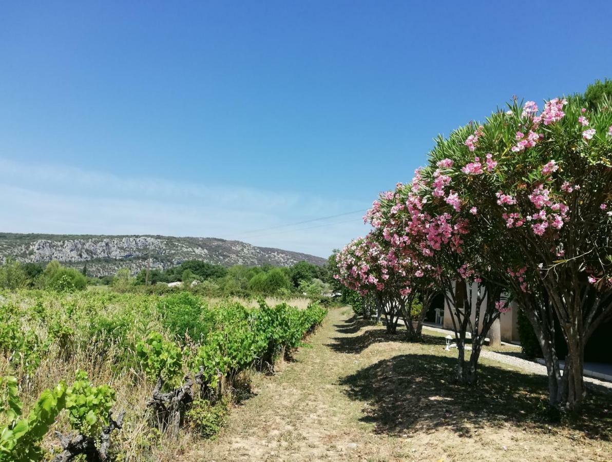 Espace Loisirs Saint-Martin-d'Ardeche Exterior foto